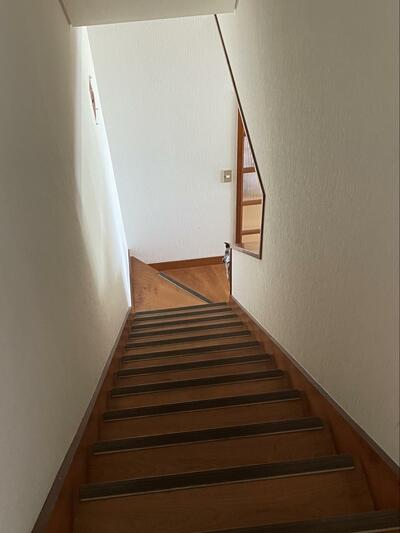 遠慮がちに様子をうかがっていた