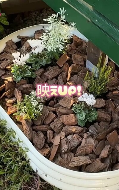 BIGちよまるこ(@big2405)さん投稿動画のキャプチャ