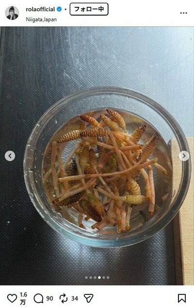 ローラのInstagram投稿