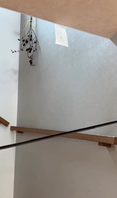 投稿の画像