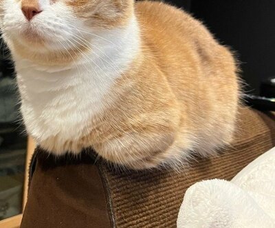 細いところに座っていました！