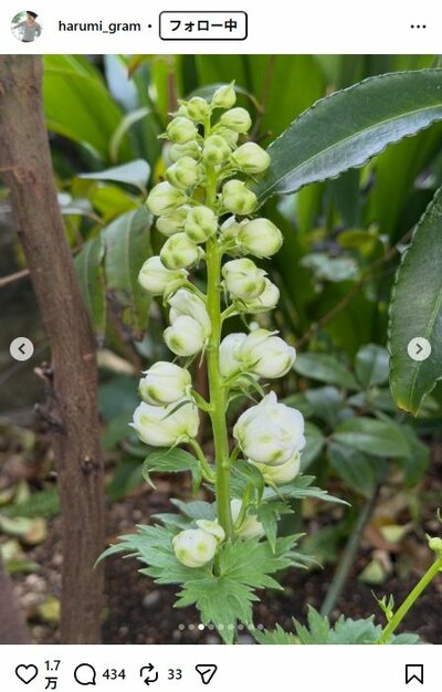 栗原はるみのInstagram投稿