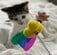5年経っても同じ遊び方…子猫のころと変わらず、おもちゃに前足を伸ばす猫の姿に癒やされる