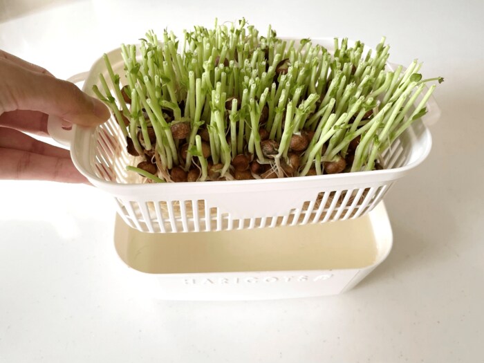 画像のようにザルの取っ手を持てば簡単に水切りができます