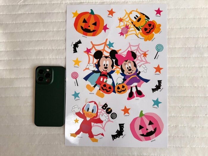 手持ちのスマートフォンと並べてみました