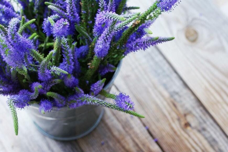 savitskaya iryna/shutterstock.com