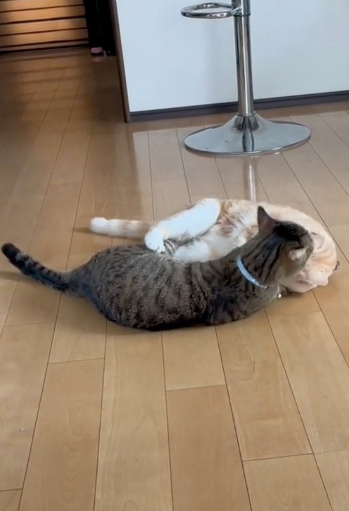 出所：@sorakai0905