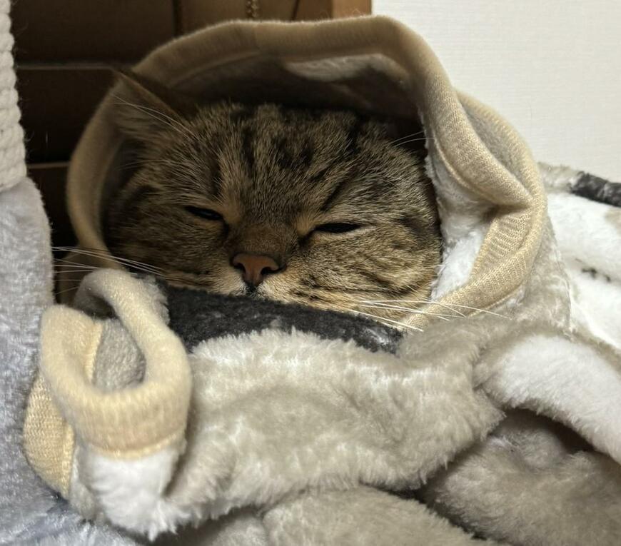 出所：@chopachabi81