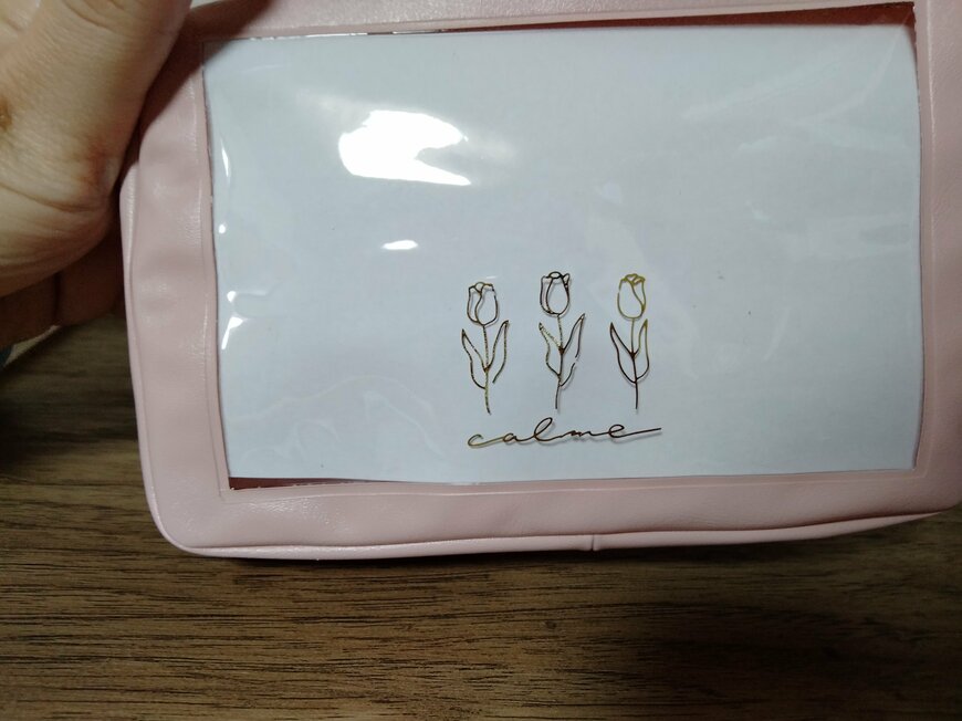 筆者撮影（セリア、クリア窓付ポーチ ニュアンスカラー）