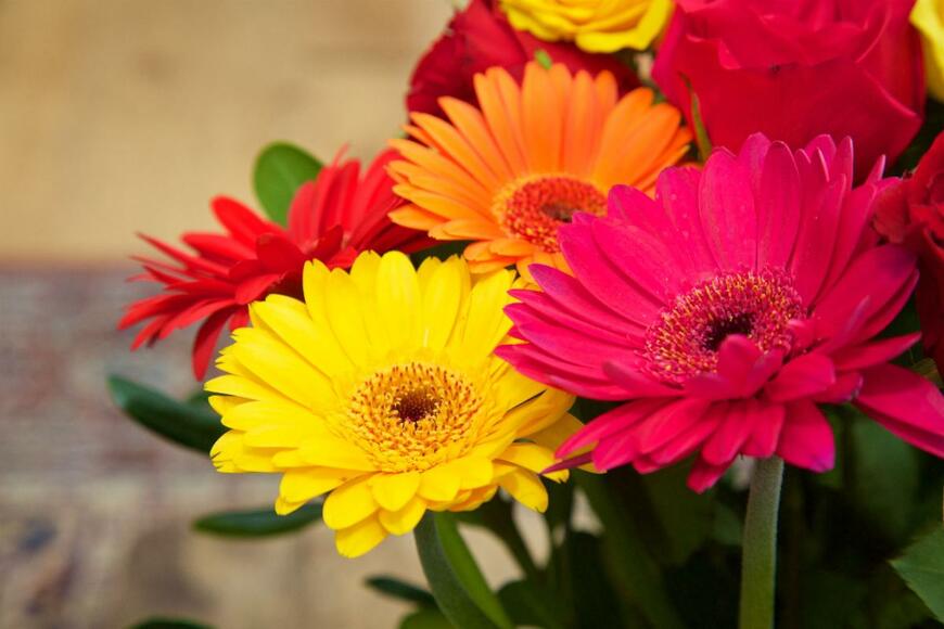 Attphotography/shutterstock.com