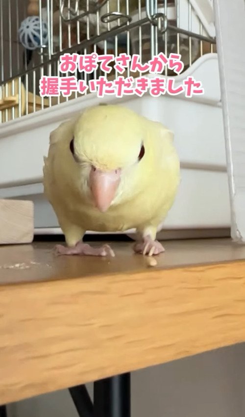 出所：@daiinkoteikoku_soraoto