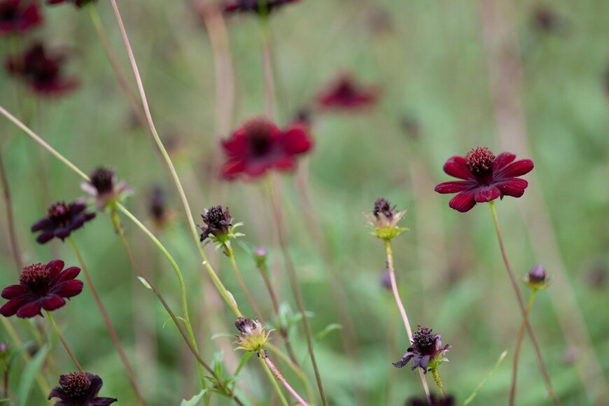 marinowifi/istockphoto.com