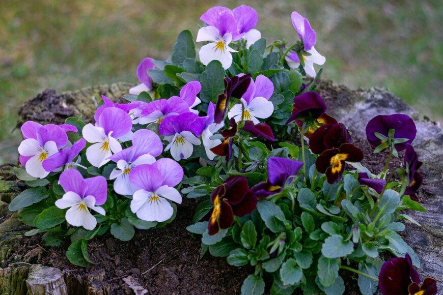 Anna Grigorjeva/istockphoto.com