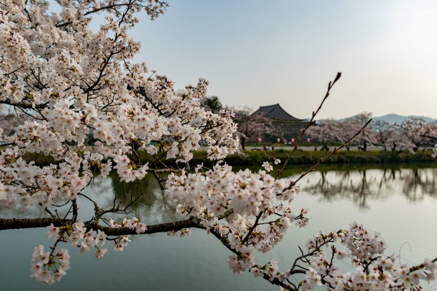 Trialist/shutterstock.com