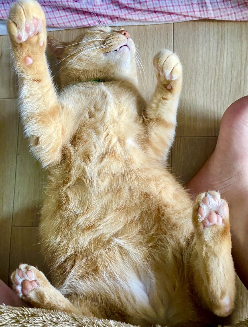 出所：@luna7taka9