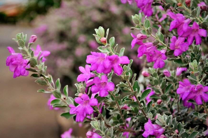 NancyAyumi/istockphoto.com