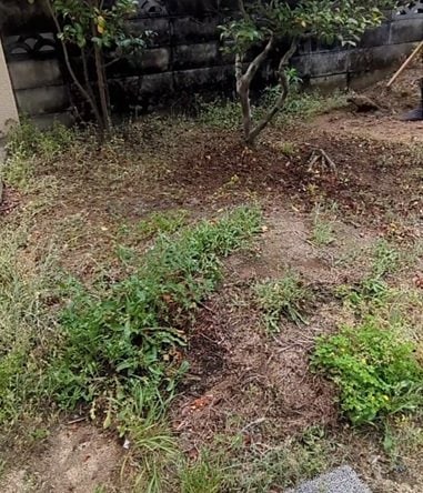 「本当にすごい」雑草だらけの〈お庭〉→職人技で〈美しすぎる更地〉にスッキリ！