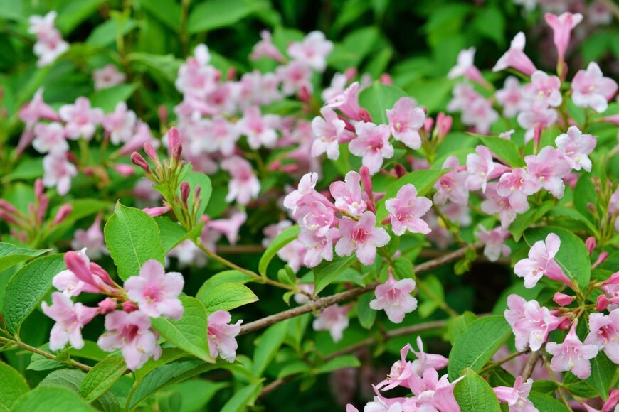 skyfish/shutterstock.com