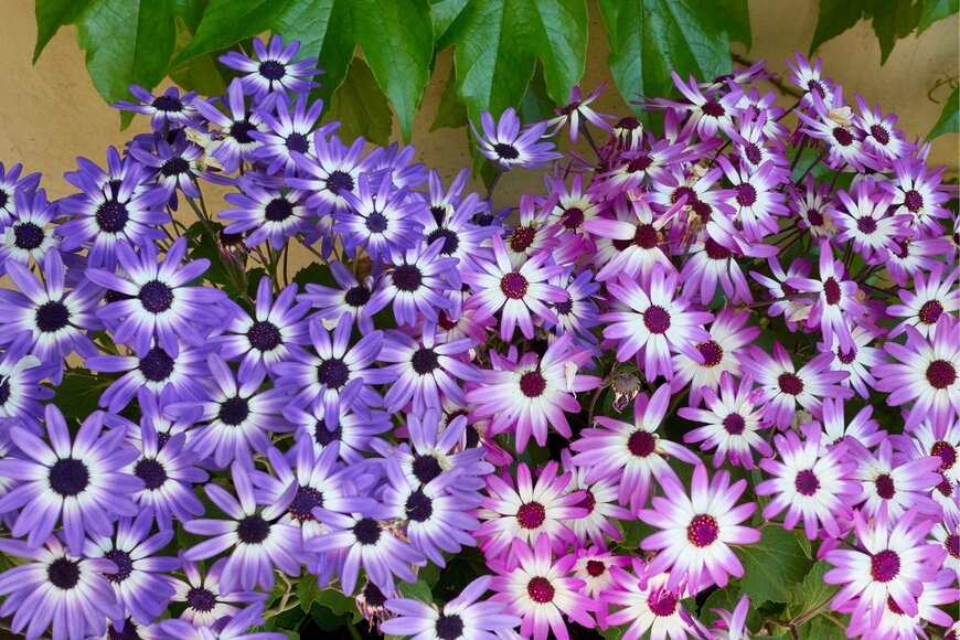 Susana del Pozo/istockphoto.com