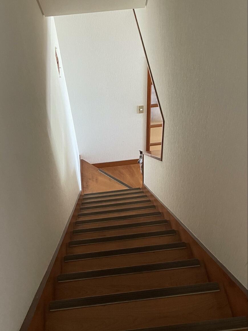 出所：@IGGY_PUTTO