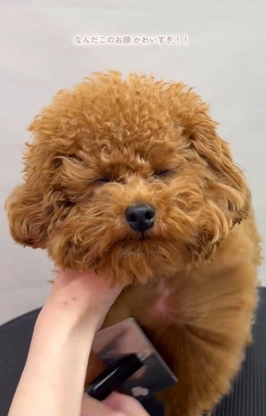 出所：＠trim_06n