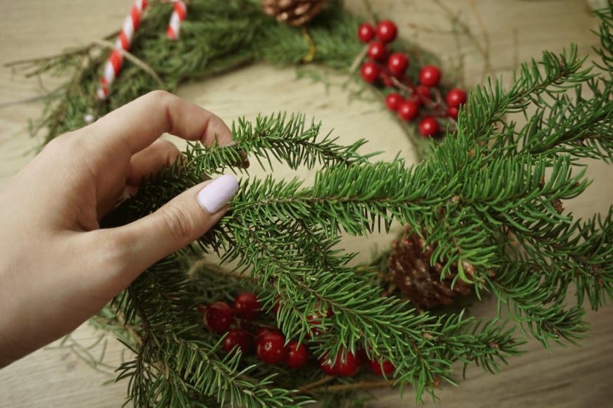                                                            Lyubov V/shutterstock.com