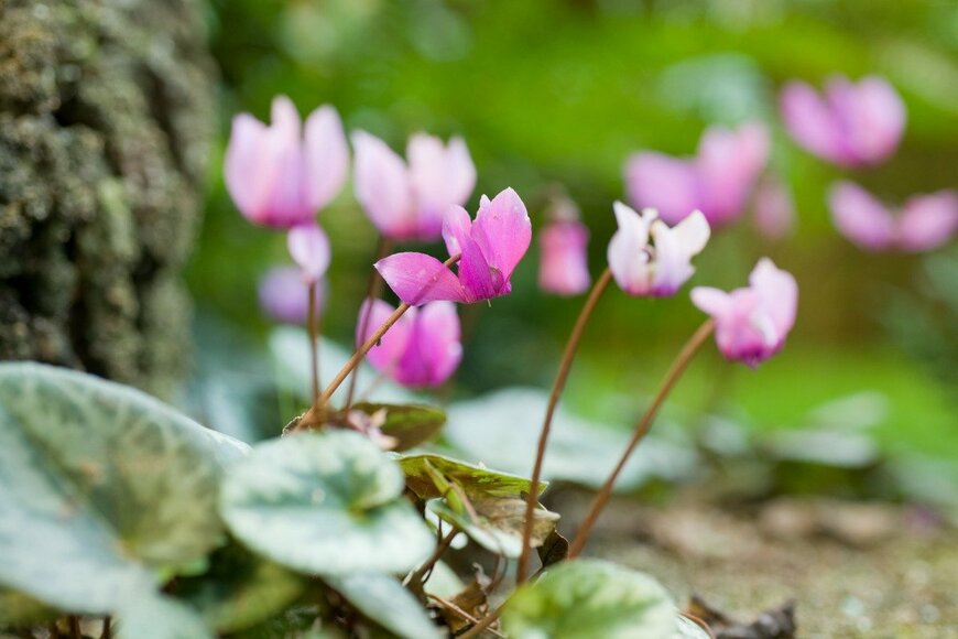 spinetta/istockphoto.com