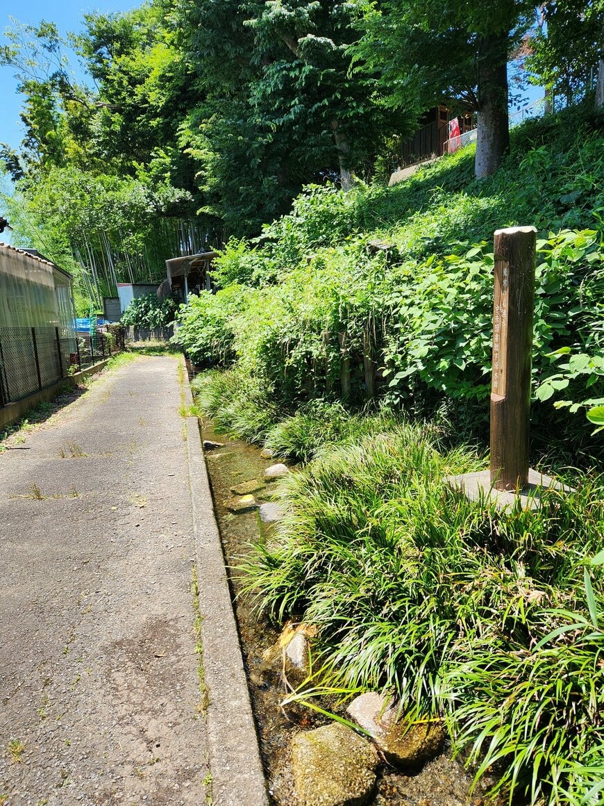 画像出所：@e_ikuon