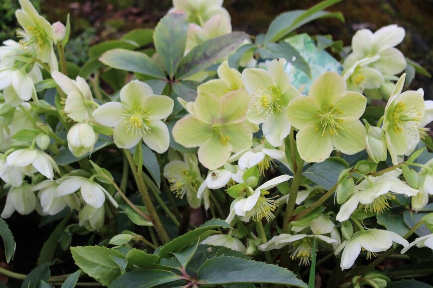 Tatiana Alex/istockphoto.com