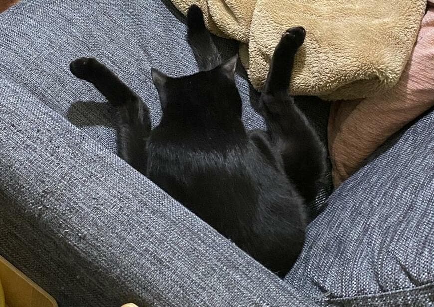 出所：@00shitemita