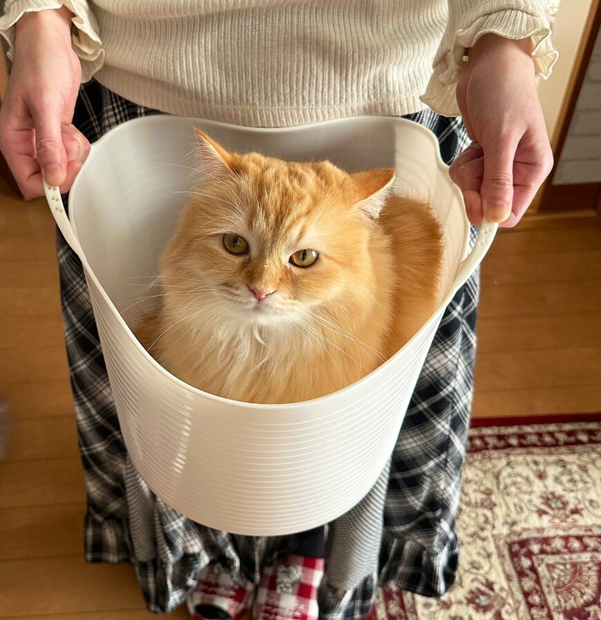 出所：@NEKOLAND13