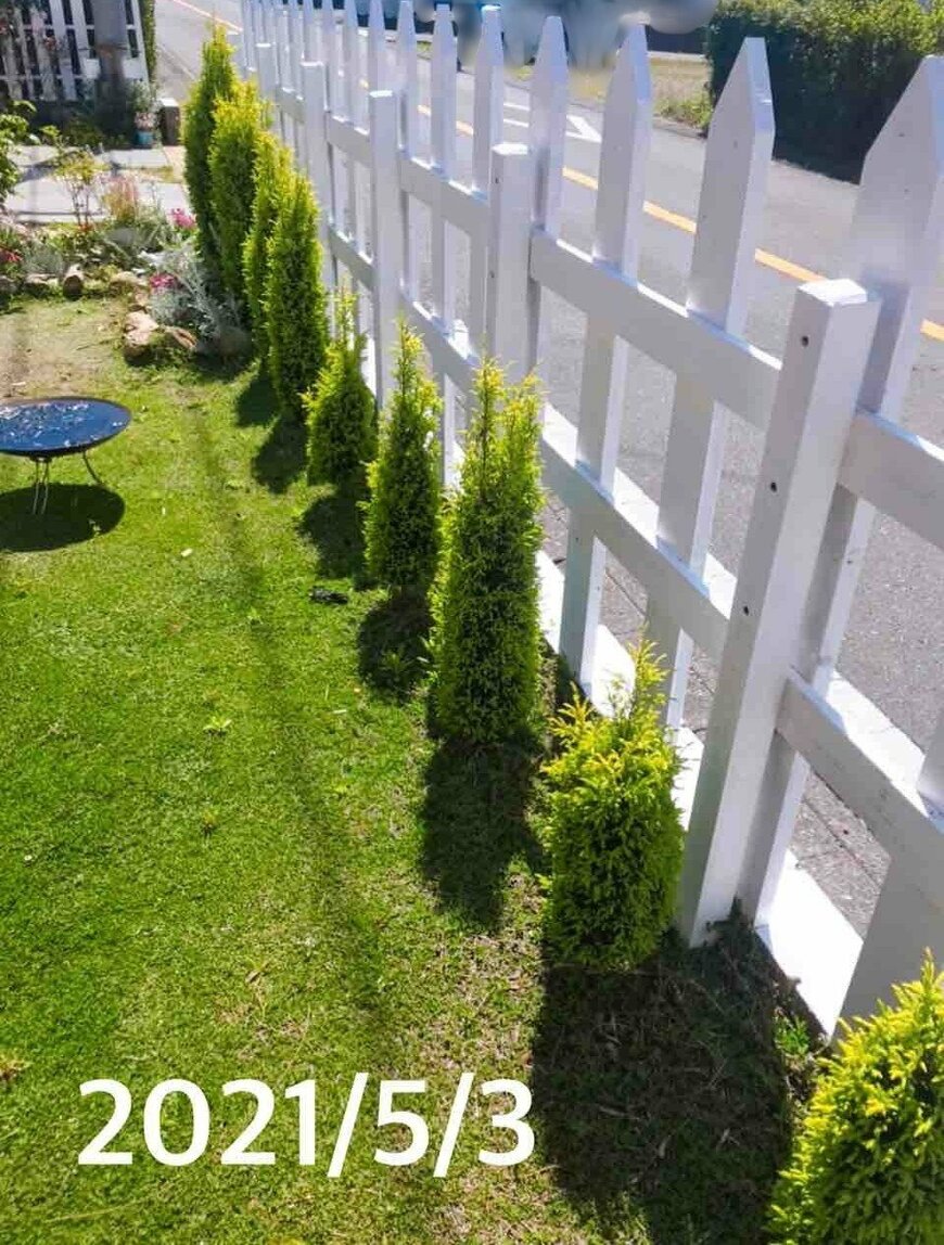 出所：きの子のDIYガーデン