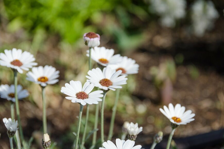 LFO62/Shutterstock.com