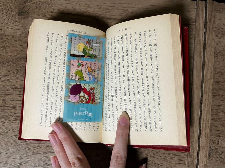 筆者撮影（セリア、〈ピーターパン〉フォトグレイ風ステッカー6P）