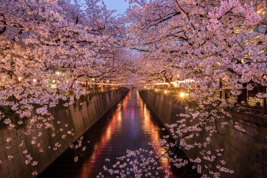 VBSE21/shutterstock.com