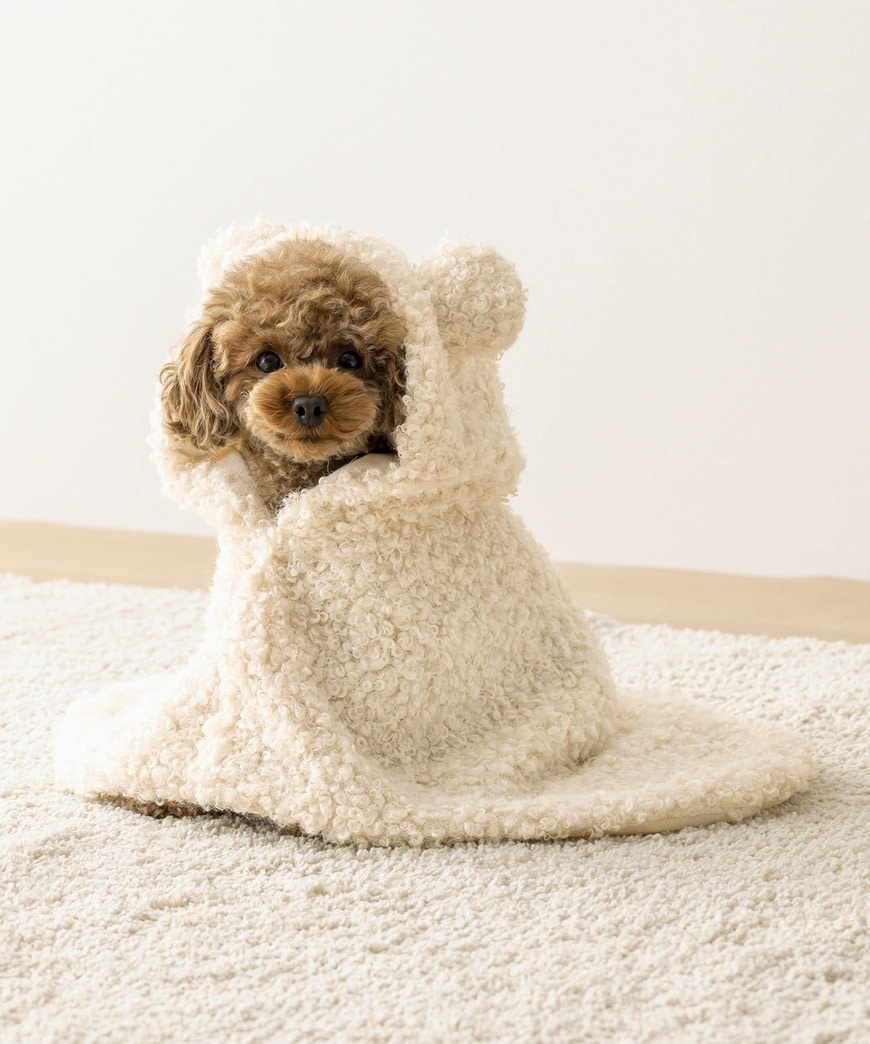 出所：パルグループ公式ファッション通販サイト 3COINS ペット用ケープ