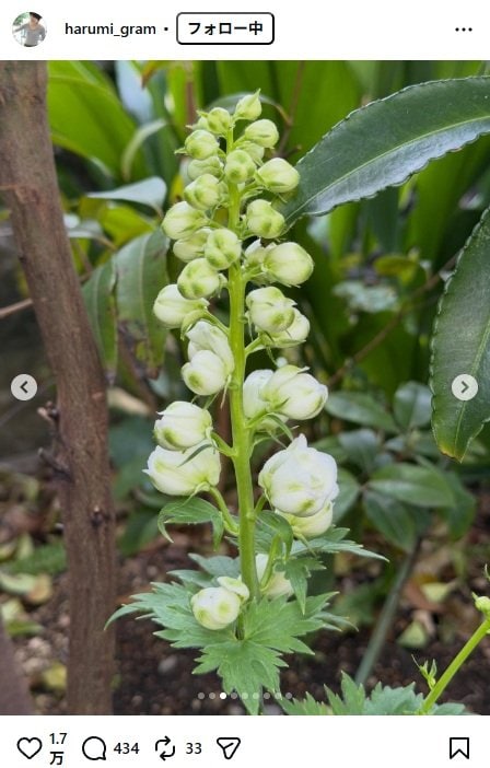 出所：栗原はるみのInstagram（＠harumi_gram） 参照日：2026年4月24日