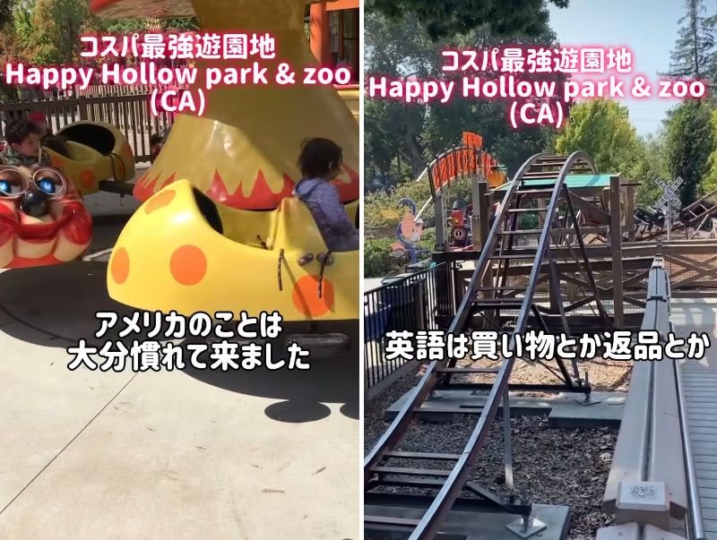 投稿の画像