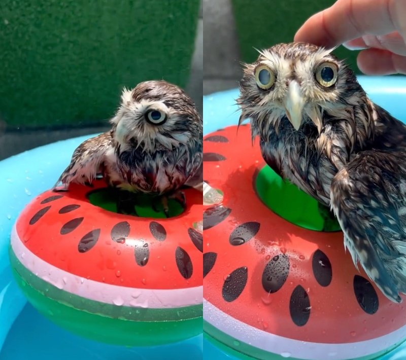 投稿動画のワンシーン