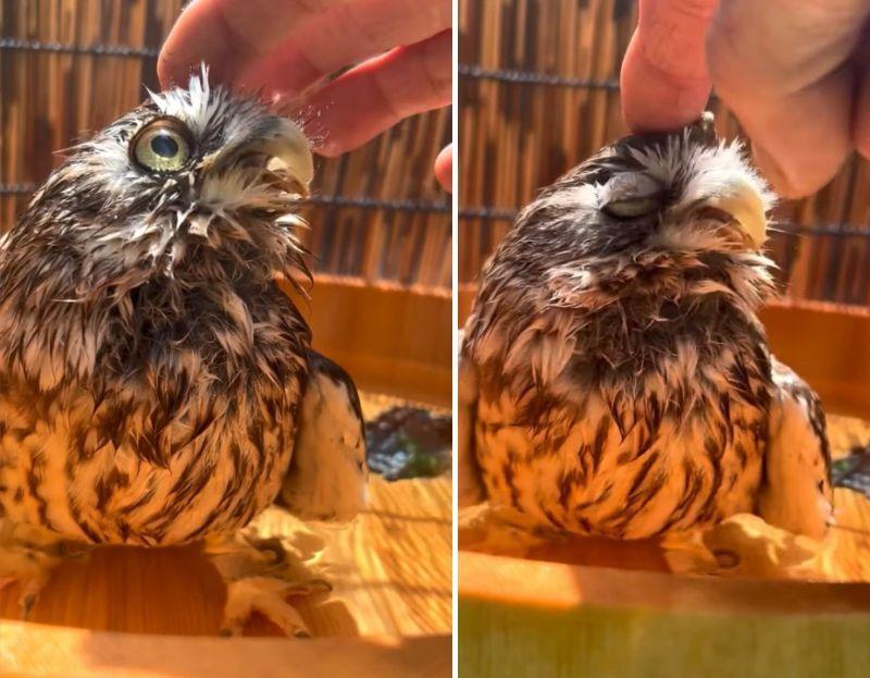 投稿動画のワンシーン