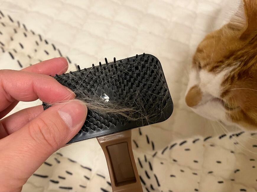 ペット用ブラシ(ボタン式)