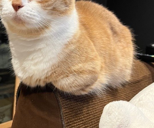 細いところに座っていました!