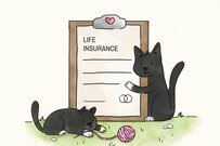 生命保険と医療保険の種類や選ぶ際のポイントとは？高額療養費制度も解説！