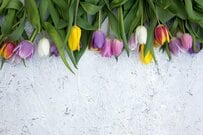 【2025年度最新】厚生年金の「現役時代の働き方や収入別の目安額」はいくら？