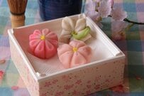 【療育手帳】132万人が所持「1年で約4万人規模の増加」4年連続で増加傾向「自治体ルール」が基本！運賃割引から税制優遇まで