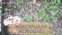 【園芸のプロが解説】庭の雑草対策《勝手に生えて大きくなる植物》8選「見つけたら即抜きたい」