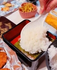 【美味しそう】ジューシーな「ハムカツ弁当」おかずをキッチリ詰めるワザに感激の声「お弁当作り上手ですね」