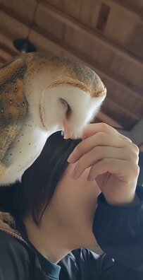 【愛を伝えるフクロウ】思わず飼い主さんも嫉妬！？イチャイチャするふたりが微笑ましい