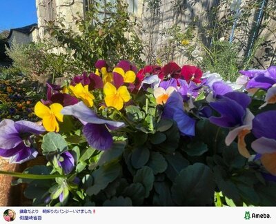 假屋崎省吾の公式ブログ投稿