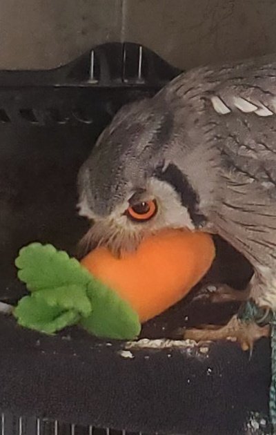投稿写真